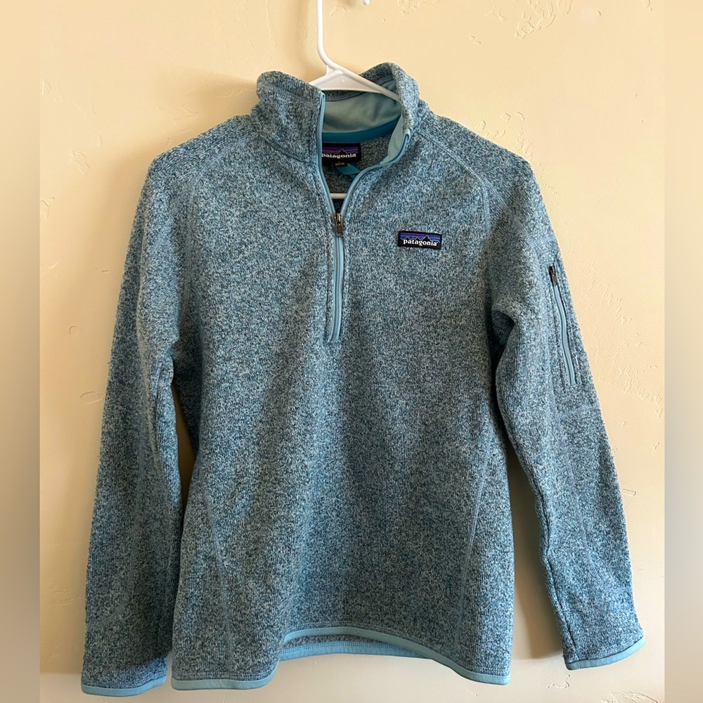 Patagonia Women's Blue Fleece Pullover